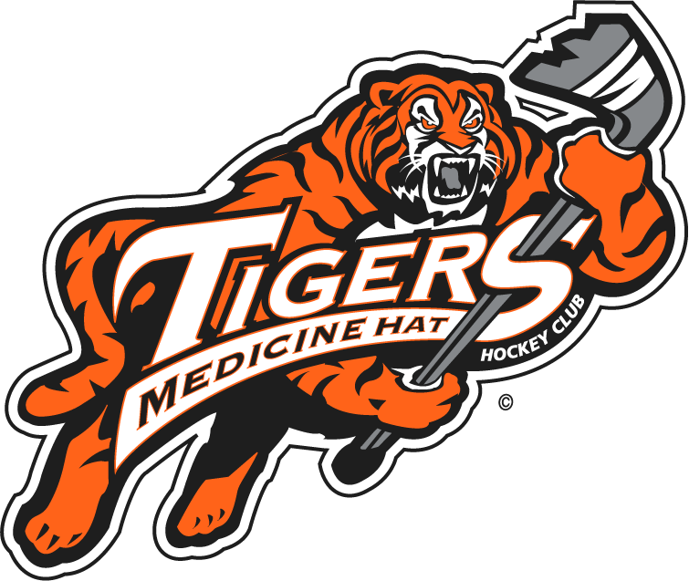 medicine hat tigers 1998-2003 primary logo iron on heat transfer